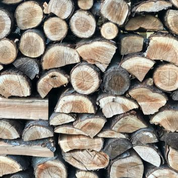 Losholzsteigerung - Gemeindewald der Einwohnergemeinde